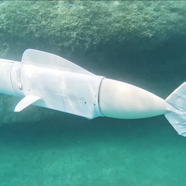 Meet ‘Eve’ the DNA-collecting robot fish